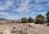 Parcela urbanizable en venta en Pinoso ref: TR415765 foto