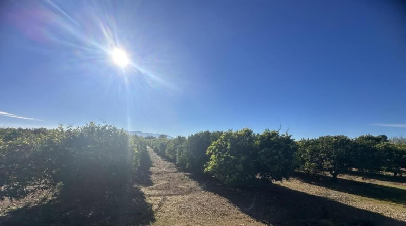 Tarragona - Masdenverge - 26m2
