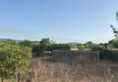 Terreno no urbanizable en venta en Masdenverge ref: TR415313 foto