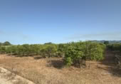 Terreno no urbanizable en venta en Masdenverge ref: TR415313 foto