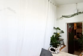 Foto 20