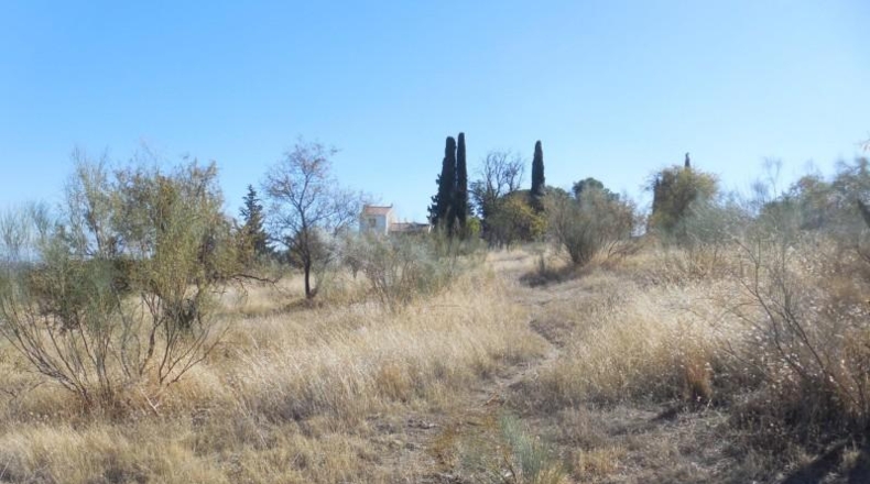 Granada - Moraleda de Zafayona - 3651m2