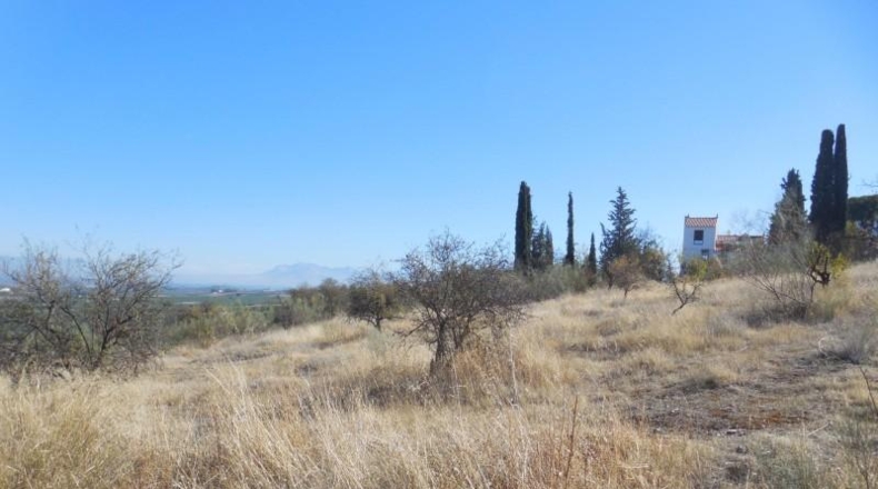 Granada - Moraleda de Zafayona - 3651m2