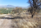 Parcela urbanizable en venta en la España, Moraleda de Zafayona, ref: TR415773 foto