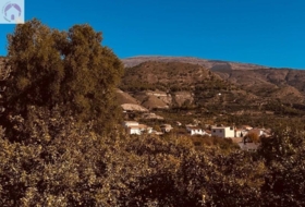 Talará 4283&nbsp;m²