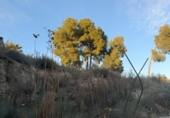 Suelo urbano en venta en la España, Rubí, ref: TR221313 foto