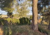Suelo urbano en venta en la España, Rubí, ref: TR221312 foto