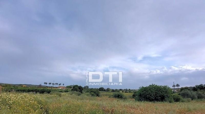 Huelva - San Bartolomé de la Torre - 8657m2