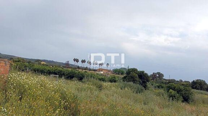 Huelva - San Bartolomé de la Torre - 8657m2