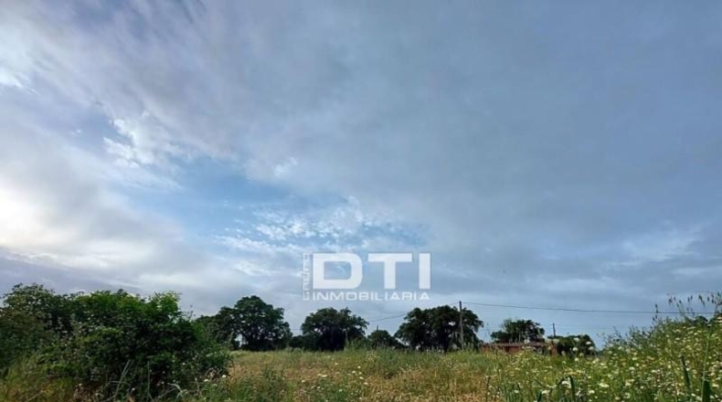 Huelva - San Bartolomé de la Torre - 8657m2