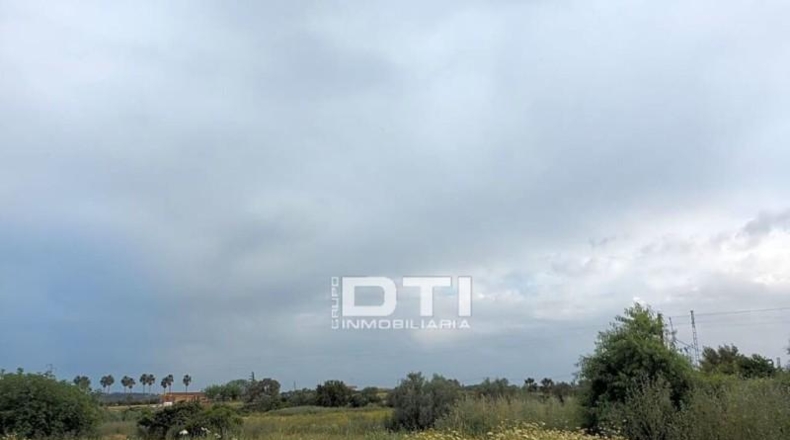 Huelva - San Bartolomé de la Torre - 8657m2