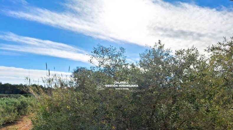 Tarragona - el Vendrell - 433m2
