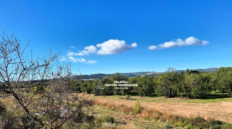 Tarragona - el Vendrell - 433m2