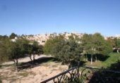 Chalet independiente con terreno en venta en la España, Rojales, ref: TR241608 foto