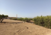 Suelo urbano en venta en la España, Molina de Segura, ref: TR312768 foto