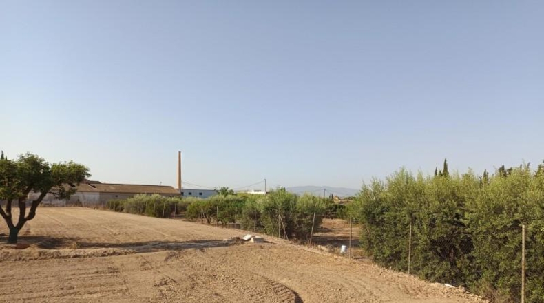 Múrcia - Molina de Segura - 20000m2