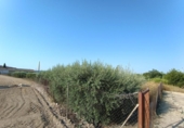 Suelo urbano en venta en la España, Molina de Segura, ref: TR312768 foto