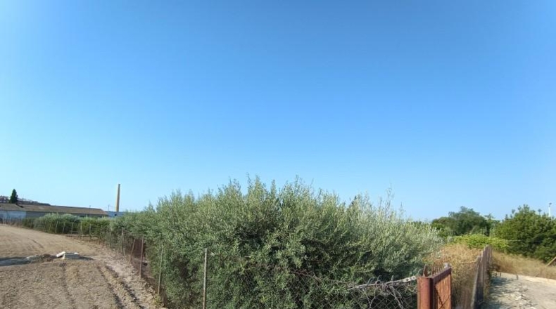 Múrcia - Molina de Segura - 20000m2