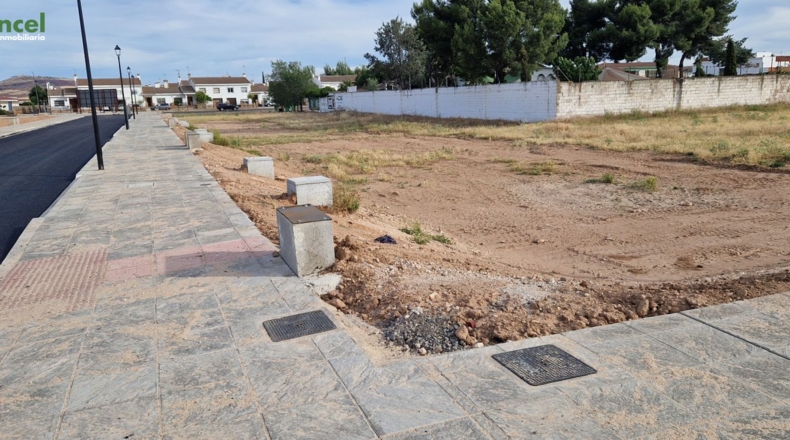 Ciudad Real - Almagro - 222m2