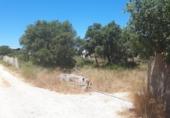 Urban land for sale on España, Chiclana de la Frontera, ref: TR415818 photo