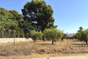 Caudete 3229&nbsp;m²