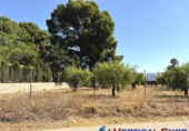 Non-developable land for sale in Caudete ref: TR415822 photo