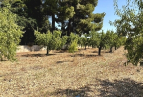 Caudete 3229&nbsp;m²