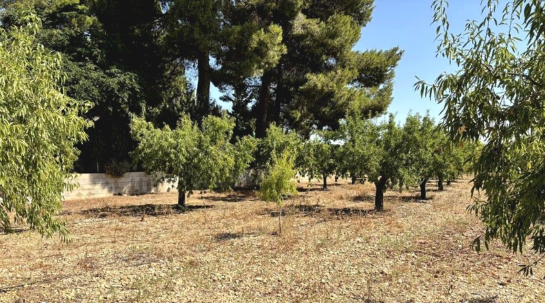 Albacete - Каудете - 3229m2