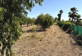 Caudete 3229&nbsp;m²