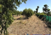 Non-developable land for sale in Caudete ref: TR415822 photo