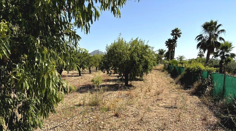 Albacete - Каудете - 3229m2