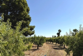 Caudete 3229&nbsp;m²