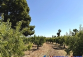 Non-developable land for sale in Caudete ref: TR415822 photo