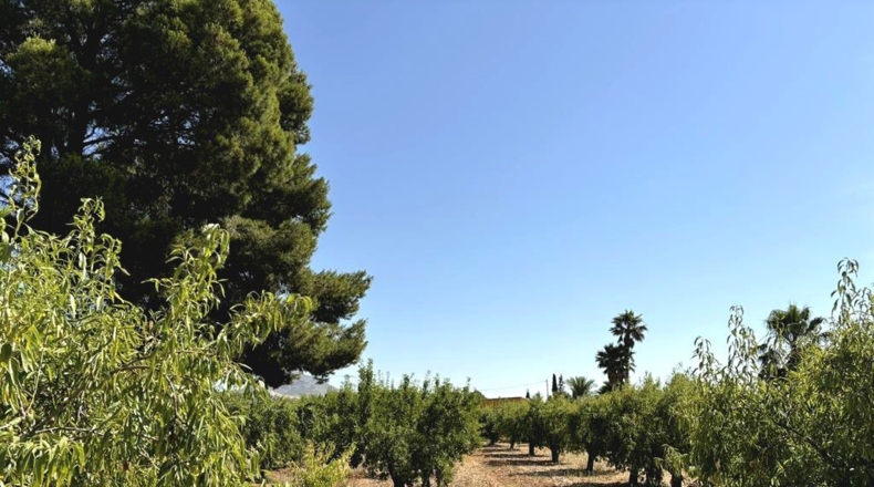 Albacete - Каудете - 3229m2