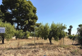Caudete 3229&nbsp;m²
