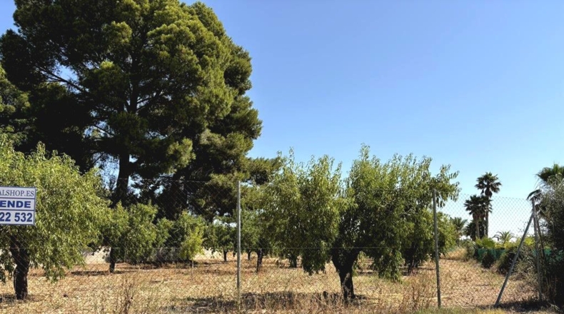Albacete - Каудете - 3229m2