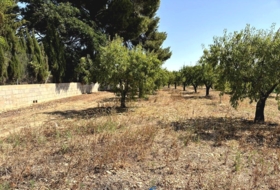 Caudete 3229&nbsp;m²