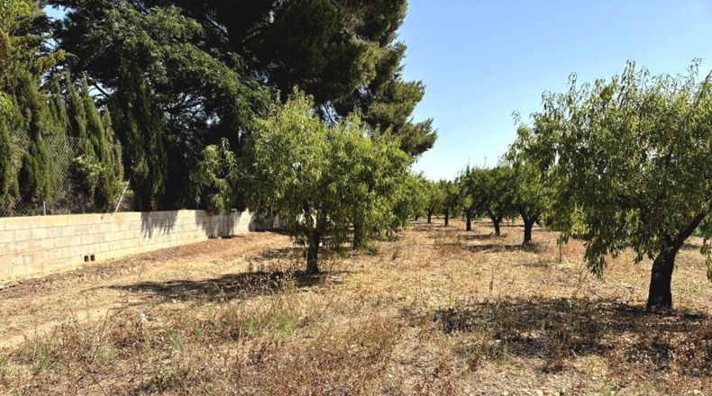 Albacete - Каудете - 3229m2