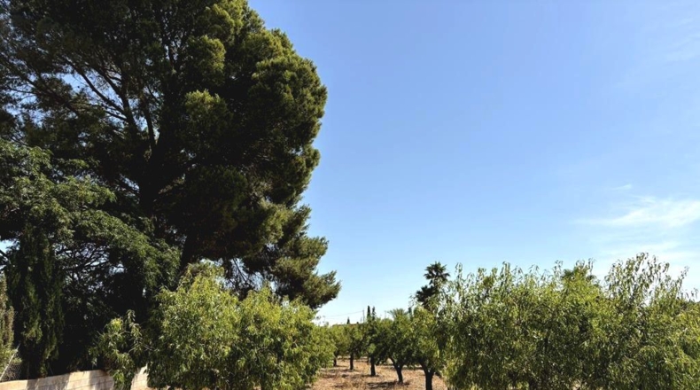 Albacete - Каудете - 3229m2