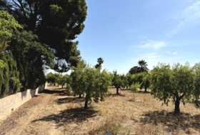 Caudete 3229&nbsp;m²