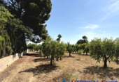Non-developable land for sale in Caudete ref: TR415822 photo