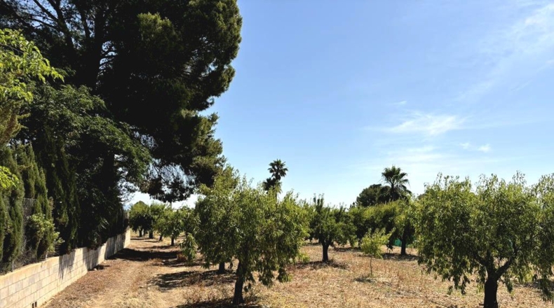 Albacete - Каудете - 3229m2