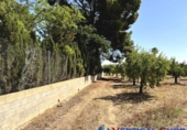 Non-developable land for sale in Caudete ref: TR415822 photo