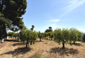 Caudete 3229&nbsp;m²