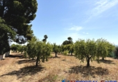 Non-developable land for sale in Caudete ref: TR415822 photo