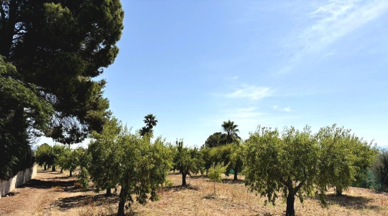 Albacete - Каудете - 3229m2