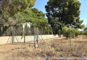 Non-developable land for sale in Caudete ref: TR415822 photo