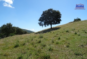 Jerez de los Caballeros 15000&nbsp;m²