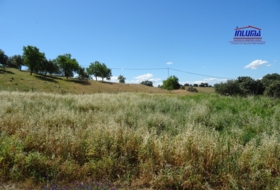 Jerez de los Caballeros 15000&nbsp;m²