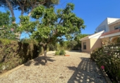 Detached villa with land for sale in Matalascañas ref: TR415825 photo